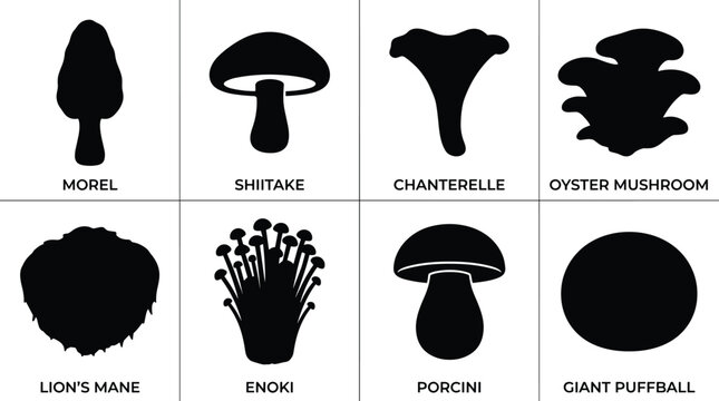 Edible mushroom black silhouette vector icon set including morel shiitake chanterelle oyster lions mane enoki porcini and giant puffball