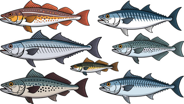 Fish collection featuring mackerel tuna trout salmon and various saltwater species with detailed outlines for seafood market menu graphic design.