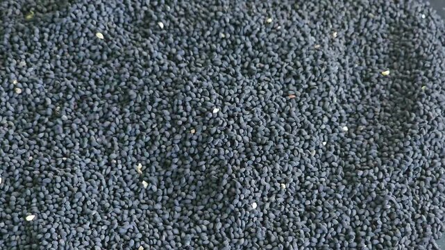 Closeup black seasame background texture.