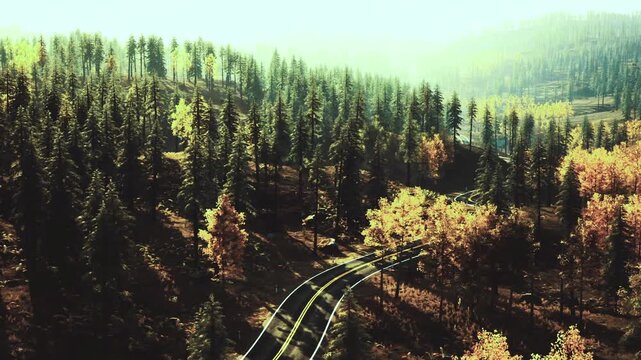 Winding rail journey. Serene path meanders through fall foliage and soft light. Gentle bend in tracks amidst colorful autumn leaves and subdued sunlight