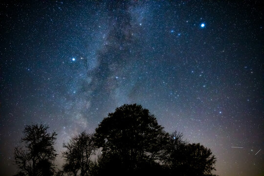 Milky Way stars with countryside tree and landscape silhouettes.