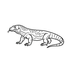 Obraz premium Komodo dragon lizard line art vector illustration isolated on white background for coloring page.
