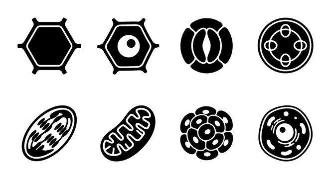 Cell Biology Icons: Plant, Animal, Organelles, Anatomy Vector Set