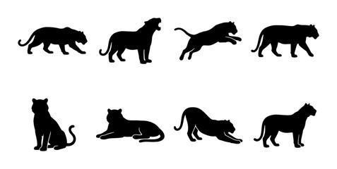 Jaguar Silhouettes Vector Set: Wild Cat Poses, Big Cat Graphics, Elegant Animal Icons © Sayma