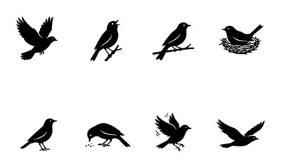 Fototapeta premium Vector Bird Silhouettes, Avian Icons, Wildlife Graphics, Nature Elements