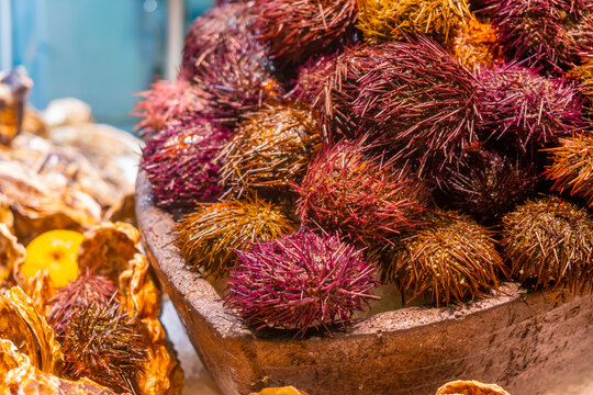 A vibrant display of sea urchins on a market stall