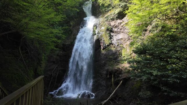 Aydinpinar Waterfalls, located in Duzce, Turkey, are one of the most beautiful waterfalls in the country.