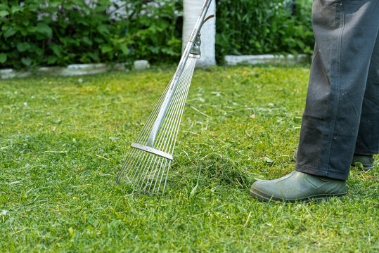 Gardener raking grass in backyard with green boots