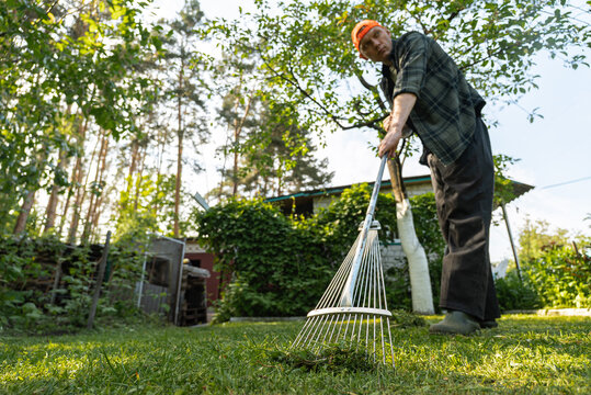 Man raking grass in a sunny backyard garden