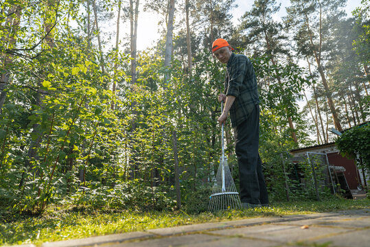Man raking in sunlit garden with lush greenery