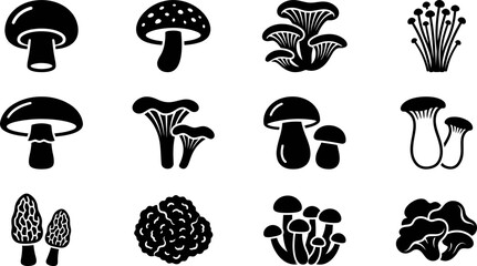 Collection of various edible mushroom species icons in black and white. © Yasmine 