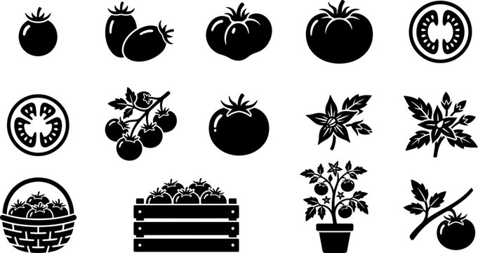 Set of black and white tomato vector icons and design elements.