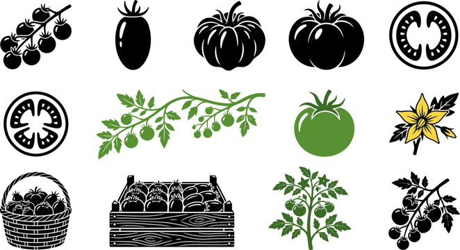 Set of hand drawn tomato icons including fresh plants and harvest.