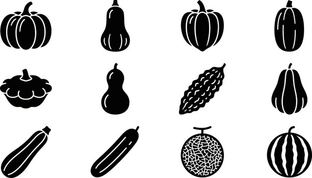 Set of Various Pumpkins Squashes and Melons Vector Icons.