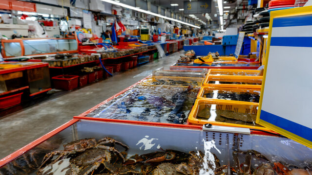 Bustling scene at Jagalchi Market in South Korea