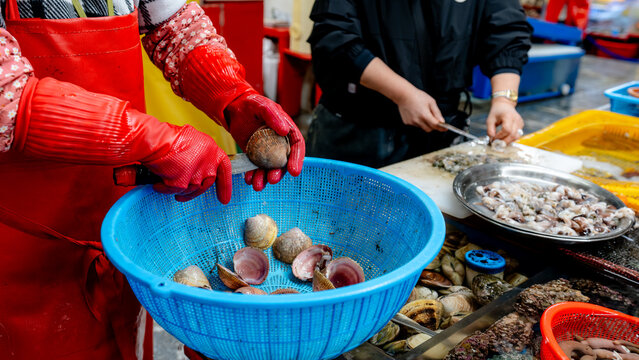 Seafood at Jagalchi Market, Busan's culinary hub