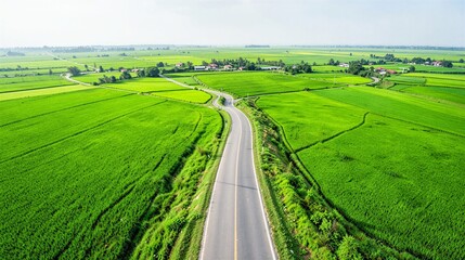 Fototapeta premium Photorealistic aerial drone shot of a winding countryside road surrounded by bright green farmland
