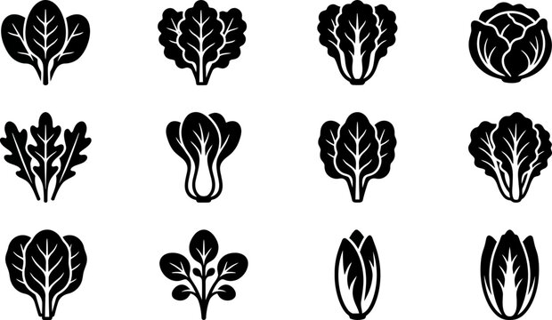 Set of black and white icons featuring various types of fresh leafy salad greens and vegetables.