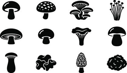 Set of black and white mushroom icons and fungus illustrations. © ngawoor