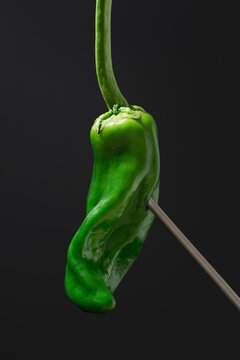 Galician pepper on skewer macro shot on dark background