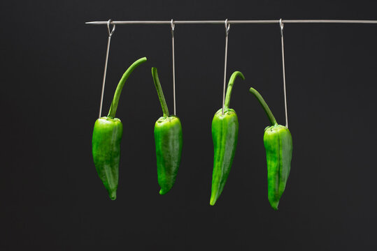 Hanging green Galician peppers on hooks on black backdrop