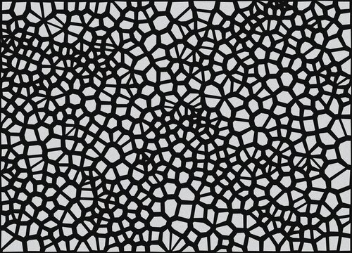 Abstract black and white voronoi pattern background with irregular geometric cellular shapes for modern graphic design projects and textures