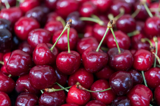 Fresh Ripe Cherries with Selective Focus and Natural Background