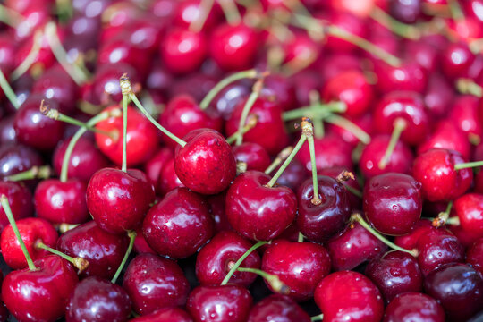 Macro View of Fresh Sweet Cherries with Soft Blurred Background