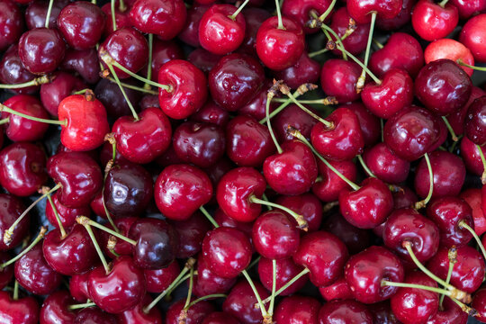 Natural Background of Fresh Ripe Cherries Viewed from Above