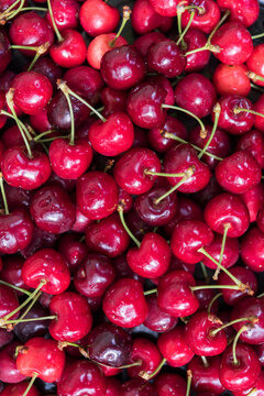 Vertical Background of Fresh Sweet Cherries in Natural Light