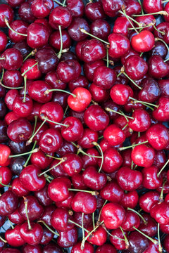 Fresh Ripe Cherries Creating a Vertical Fruit Background