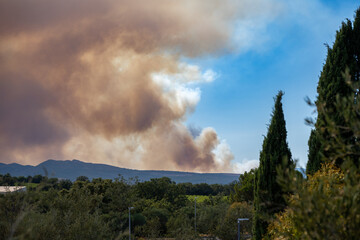 Pyrénées-Orientales, France, July 5, 2026: Smoke from the Trévillach wildfire rises behind Mediterranean hills and cypress trees near Perpignan during a major wildfire in southern France. © Bruno