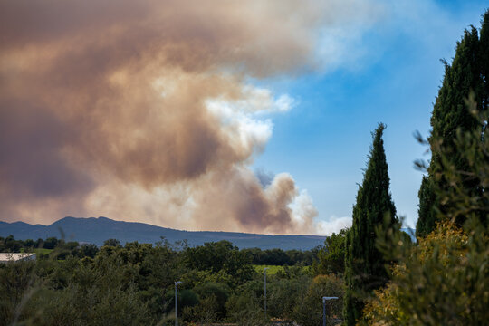 Pyr&eacute;n&eacute;es-Orientales, France, July 5, 2026: Smoke from the Tr&eacute;villach wildfire rises behind Mediterranean hills and cypress trees near Perpignan during a major wildfire in southern France.
