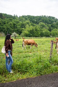 Woman watching grazing cows in Asturias countryside