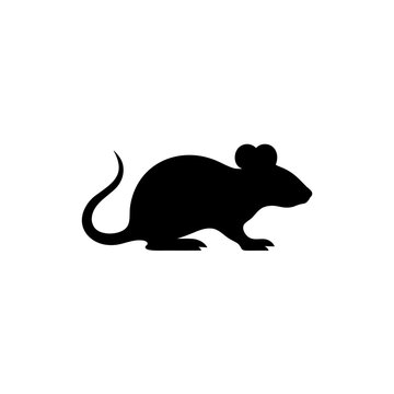silhouette of a rat on white background