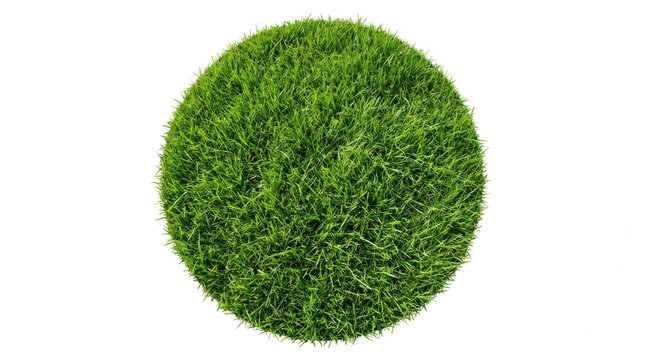 A lush green grassy circular area on a plain background