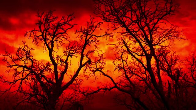 Scary Red Sky With Lightning Strikes Behind Dead Trees
