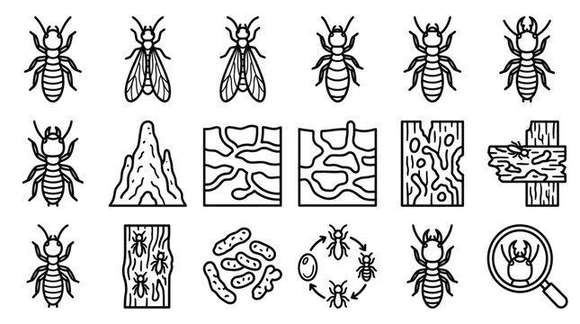Termite Icons Set: Colony, Life Cycle, Damage, and Structure