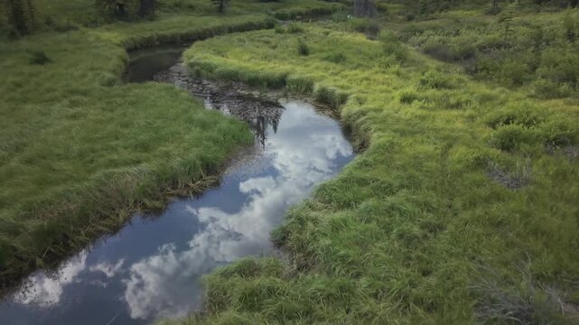 Fruitland Area Stream and Beaver Dam Downward Drone Push 4K