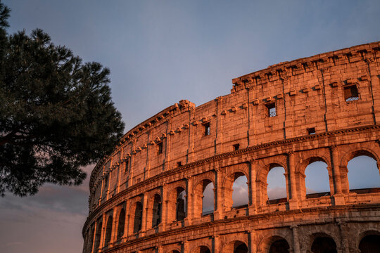 Colosseum in Rome at sunset, warm evening light on ancient stone arches with silhouetted pine tree and dusky sky