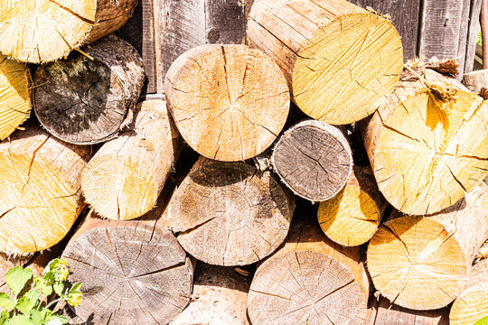 Stacked firewood logs with visible growth rings and rough bark