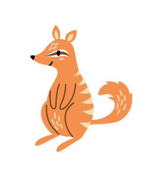 Cute numbat isolated on white background. A small insectivorous marsupial native only to Australia. Perfect for children's educational materials, school posters, and wildlife conservation projects. 
