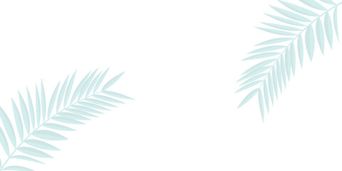 Obraz premium White background with gray outline of palm branches, horizontal background, Abstract background with grey shadows leaf bamboo tree.