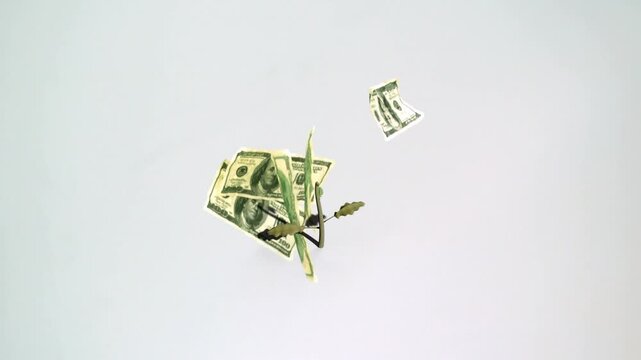 Dollar bills entering from top, falling around plant, plant remaining centered showing growth