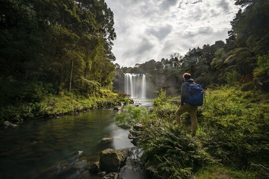 Young man standing in front of waterfall, Rainbow Falls or Waianiwaniwa, Kerikeri River, Northland, North Island, New Zealand