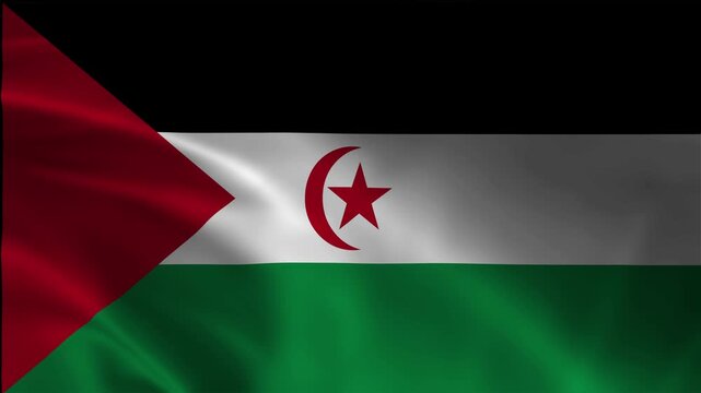 National Western Sahara Banner Footage Animation Loopable Flow Emblem Patriotism Breeze Silk Satin Backdrop Motion Fluttering Flag