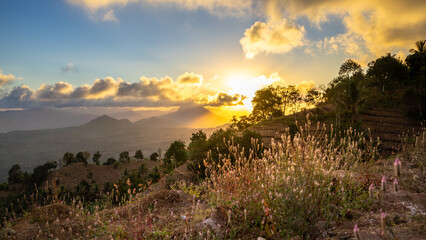 Golden Sunset over Mountainous Valley with Wildflowers © iwan