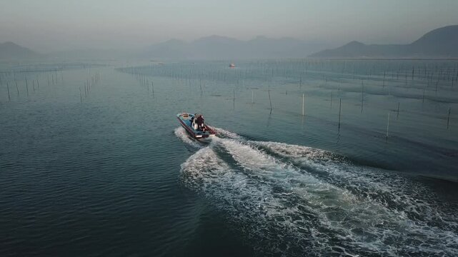 Korea seaweed origin sea port laver harvest production work harvesting operation fishing village ocean aquaculture farm seaweed raw material fishery industry fishing aquaculture fishermen marine 