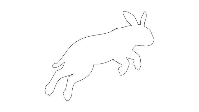 Animation of running rabbit on a white background, animal outline motion footage.