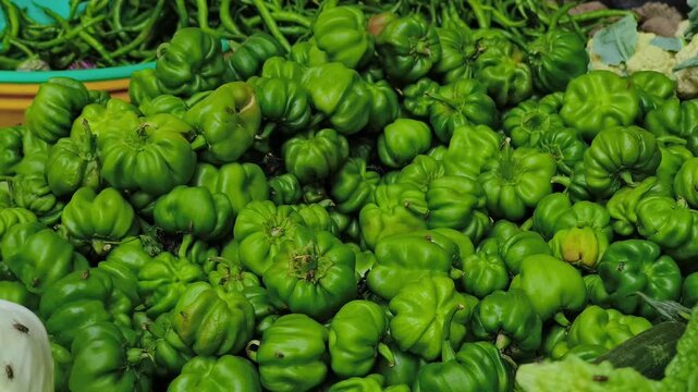 Fresh green capsicum neatly displayed at a local vegetable market, highlighting organic farming, healthy food, grocery shopping, fresh produce, nutrition, agriculture and natural ingredients.